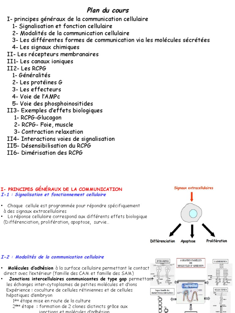 Fonctionnement des RCPG en Signalisation | PDF | Signalisation ...
