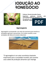 Introdução Ao Agronegócio