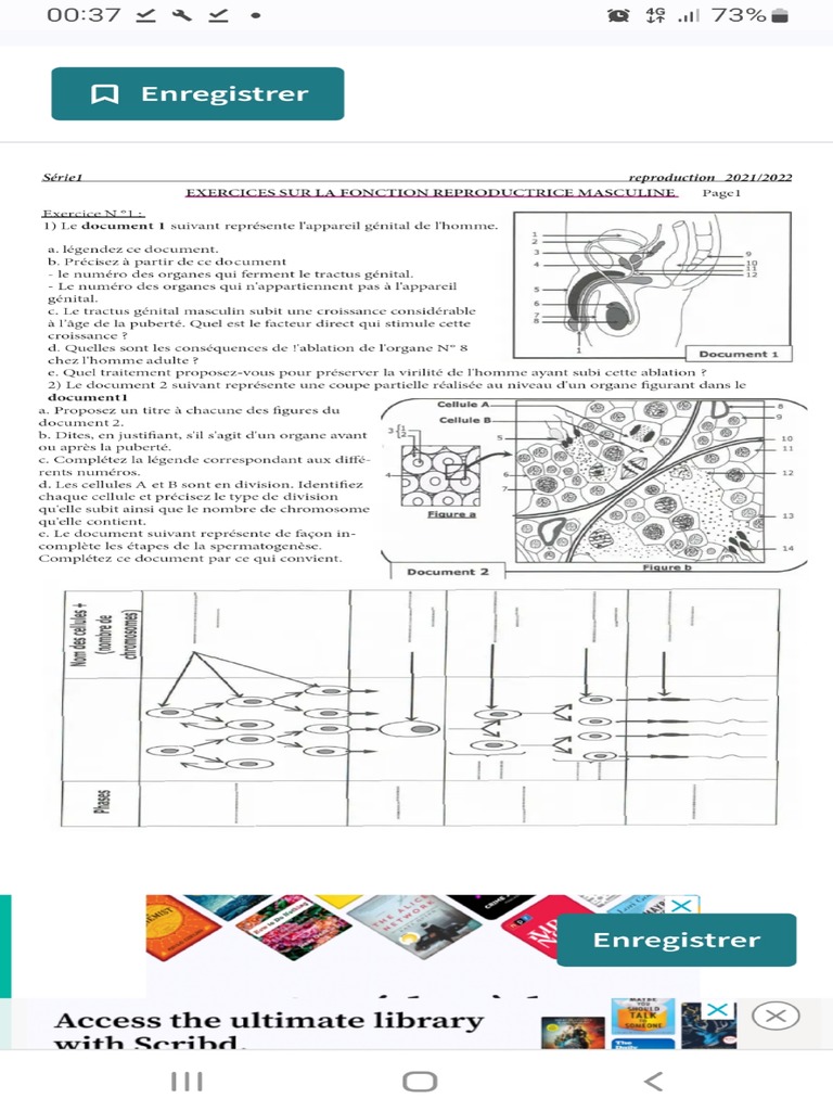 Reprod Masc | PDF