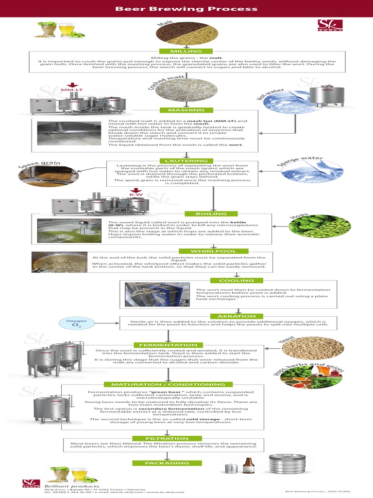 Beer Brewing Process Overview | PDF | Brewing | Beer