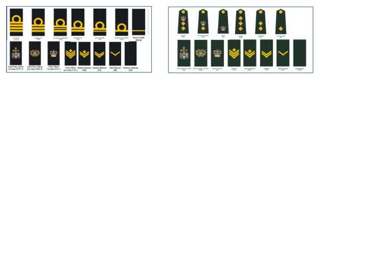 CAF Insignia | PDF