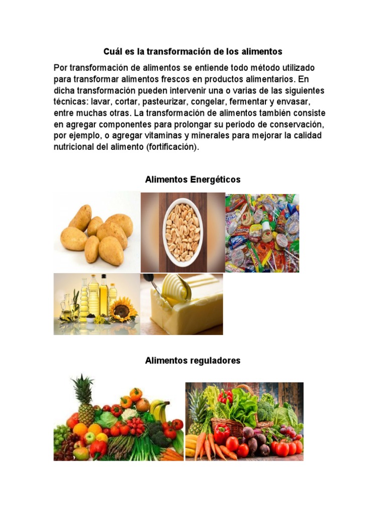 Transformación de Alimentos: Métodos y Ejemplos | PDF | Salud y bienestar
