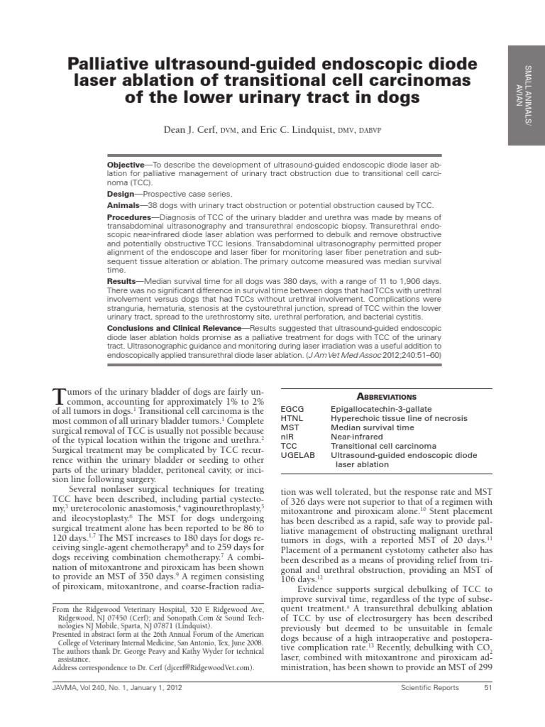Palliative UltrasoundGuided Endoscopic Diode Laser Ablation of Transitional Cell Carcinomas of