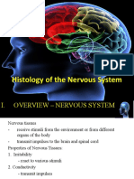 Nervous Tissue