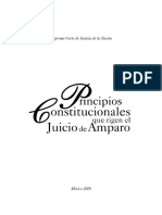 Principios Constitucionales Que Rigen El Juicio de Amparo