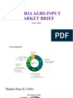 Nigeria CPP Market Brief