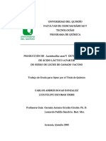 Producción de Lactobacillus Casei y Determinación de Ácido Láctico A Partir de Suero de Leche