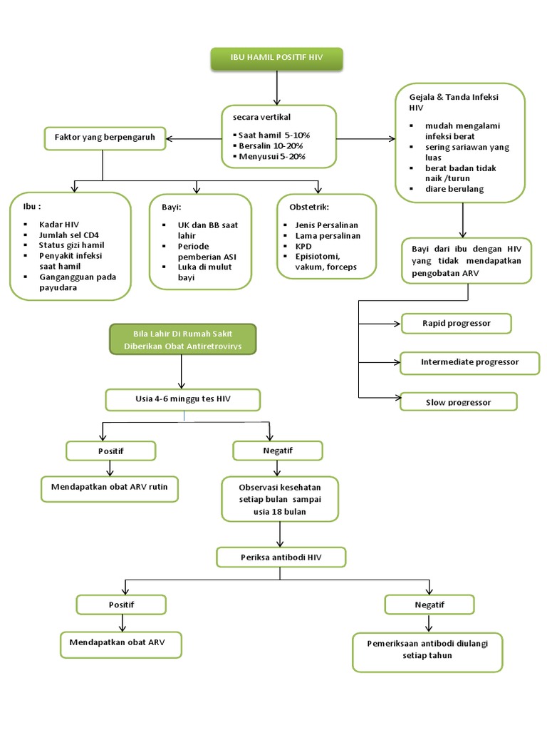 Pathway HIV pada Ibu Hamil dan Bayi | PDF