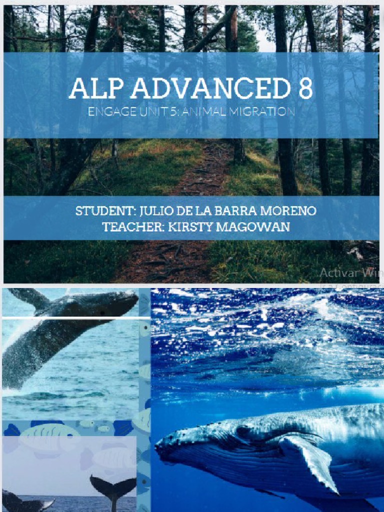 Alp Advanced 8 | PDF