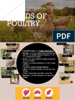 Breeds of Poultry