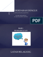 Demam Berdarah Dengue PPT Bithaa