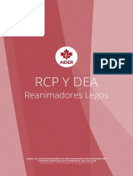 AIDER 2015 RCP y DAE Matriz - Spanish