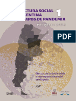 Estructura Social de Argentina en Tiempos de Pandemia Tomo 1