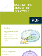 3 The Cell Cycle