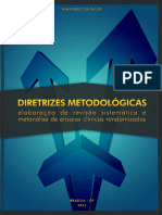 Diretrizes Metodologicas Elaboracao Sistematica (1)