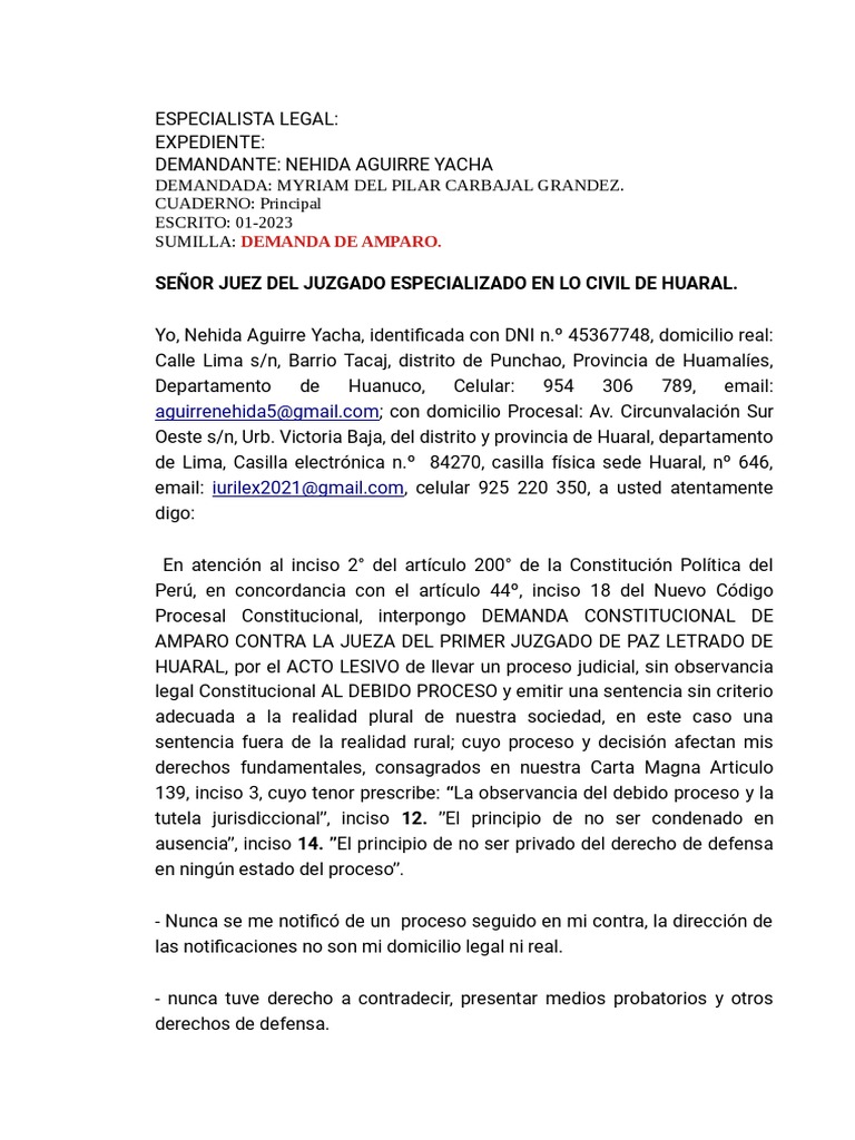 Demanda de Amparo de Nehida Aguirre | PDF | Demanda judicial | Ley procesal