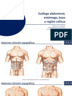 Esofago Abdomiinal Estomago y Bazo