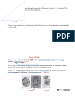 Apoptosis 1