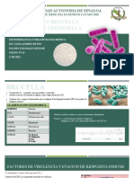 23 Brucella, Legionella