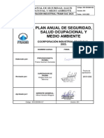 Plan Anual Ssoma 2023 Frami