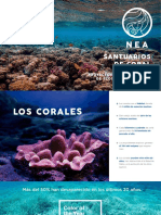 Dossier Corales