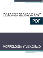 Guía de Morfologia y Visajismo