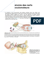 Anatomie Des Nerfs Oculomoteurs