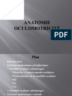 Anatomie Oculomotricite