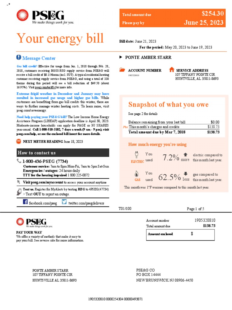 PSE&G Utility Bill Overview | PDF | Watt | Gases