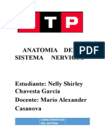 Anatomia Del Sistema Nervioso