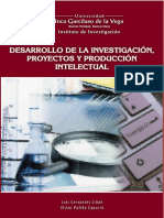 Desarrollo de La Inv Proy Prod Int