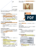 Resumo - UE I