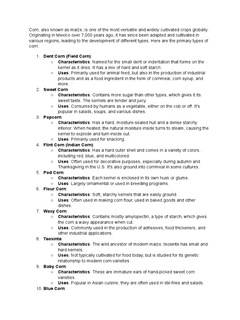 Major Types of Corn and Their Uses | PDF | Maize | Cereals