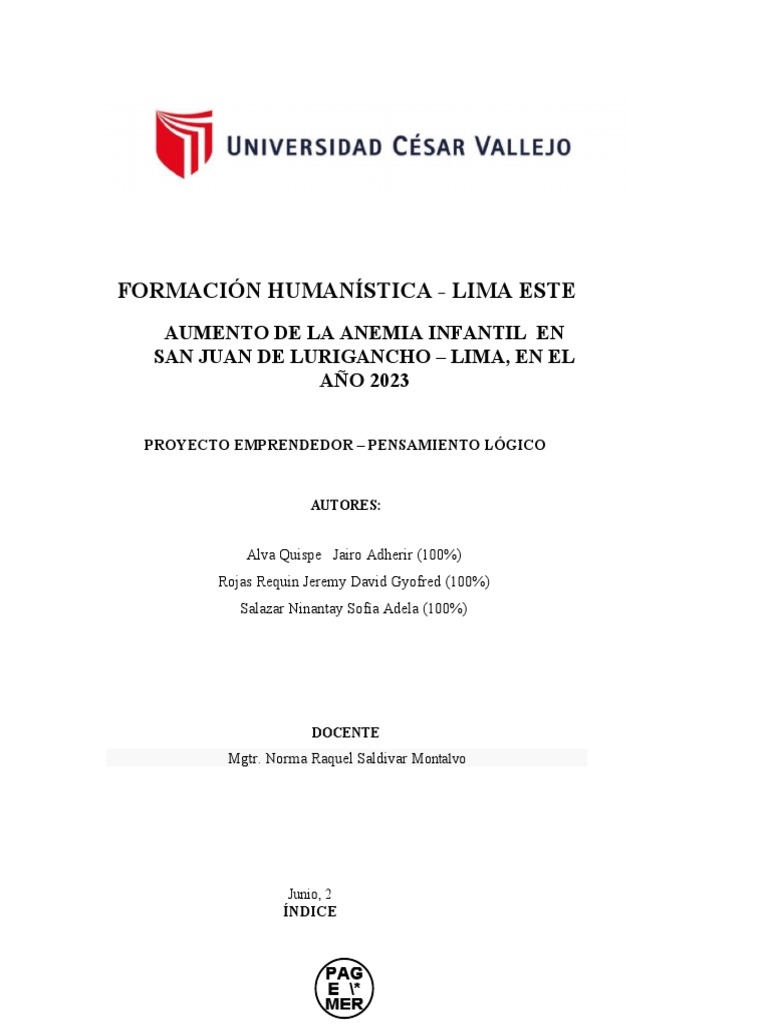 Anemia Infantil en San Juan de Lurigancho | PDF | Nutrición | Dieta y ...
