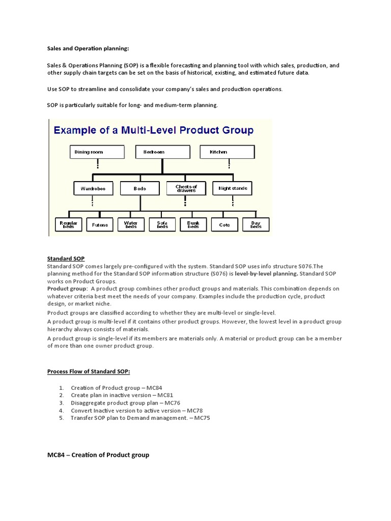 Sales and Operation Planning PDF Business Economies