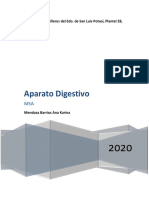 Aparato Digestivo