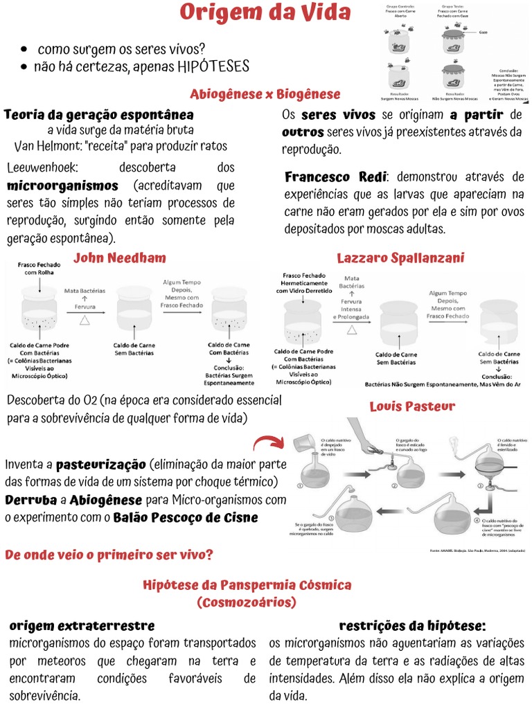Origem Da Vida | PDF | Abiogênese | Ciências Físicas