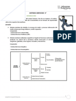 Sistema Nervioso 4°