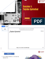  Clase en Línea Tejido Epitelial 