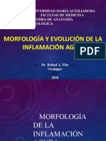 Anatopato I - C7 - Inflamación Aguda 1 Slide