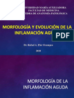 Anatopato I - Morfologia y Evolución d la Inflamación Aguda