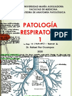 Anatopato I - C24 - Respiratorio 1 - Atelectasia, Bronquiectasia, Enfisema, Asma