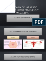 Clase 1 Anatomia y Fisiologia Del Aparato Reprodutor Femenino