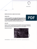 6.2 Memoria Explicativa Cambio de Uso de Suelo Lote 31-C-1