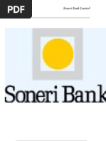 Final Report of Soneri Bank