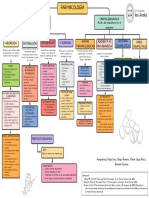 Mapa Conceptual Farmaología