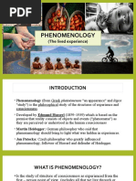 Phenomenology