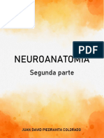 Neuroanatomía