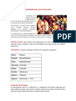 Taxonomía Del Cultivo de Papa