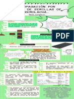 Infografia - Propagacion Por Medio de Semilla